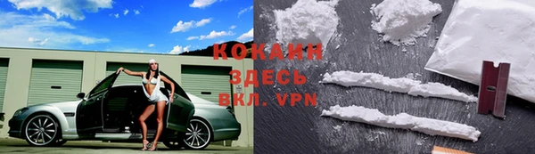 кокс Богородицк