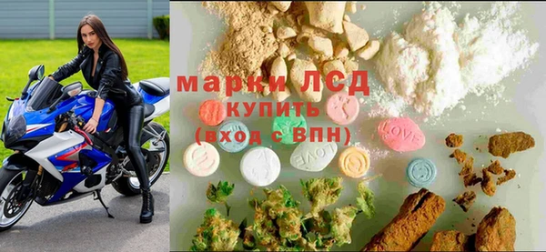 ПСИЛОЦИБИНОВЫЕ ГРИБЫ Беломорск