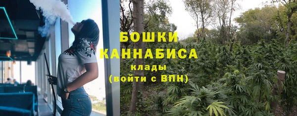 амф Богданович