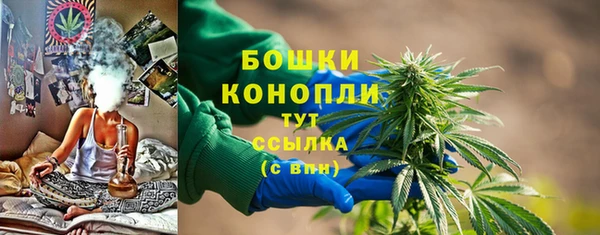 амф Богданович