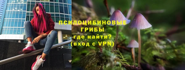ПСИЛОЦИБИНОВЫЕ ГРИБЫ Беломорск