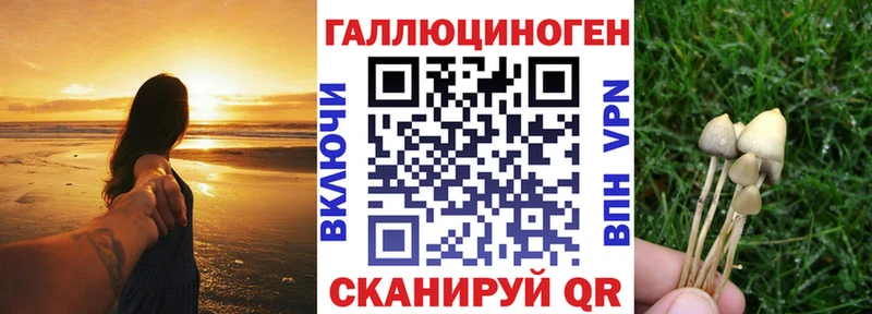 купить наркотики цена Кизляр Псилоцибиновые грибы прущие грибы